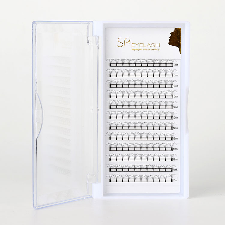 Why Are Premade Fan Lashes Shaping the Future of Professional Lash Extensions?