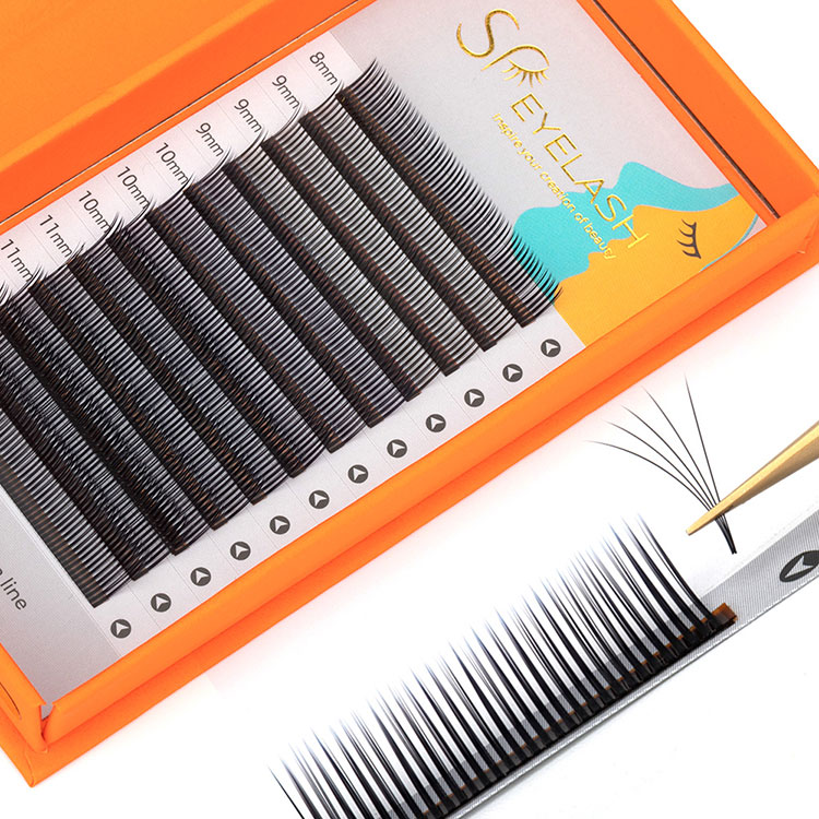 How Are Flora Lashes Shaping Today’s Eyelash Extension Market?
